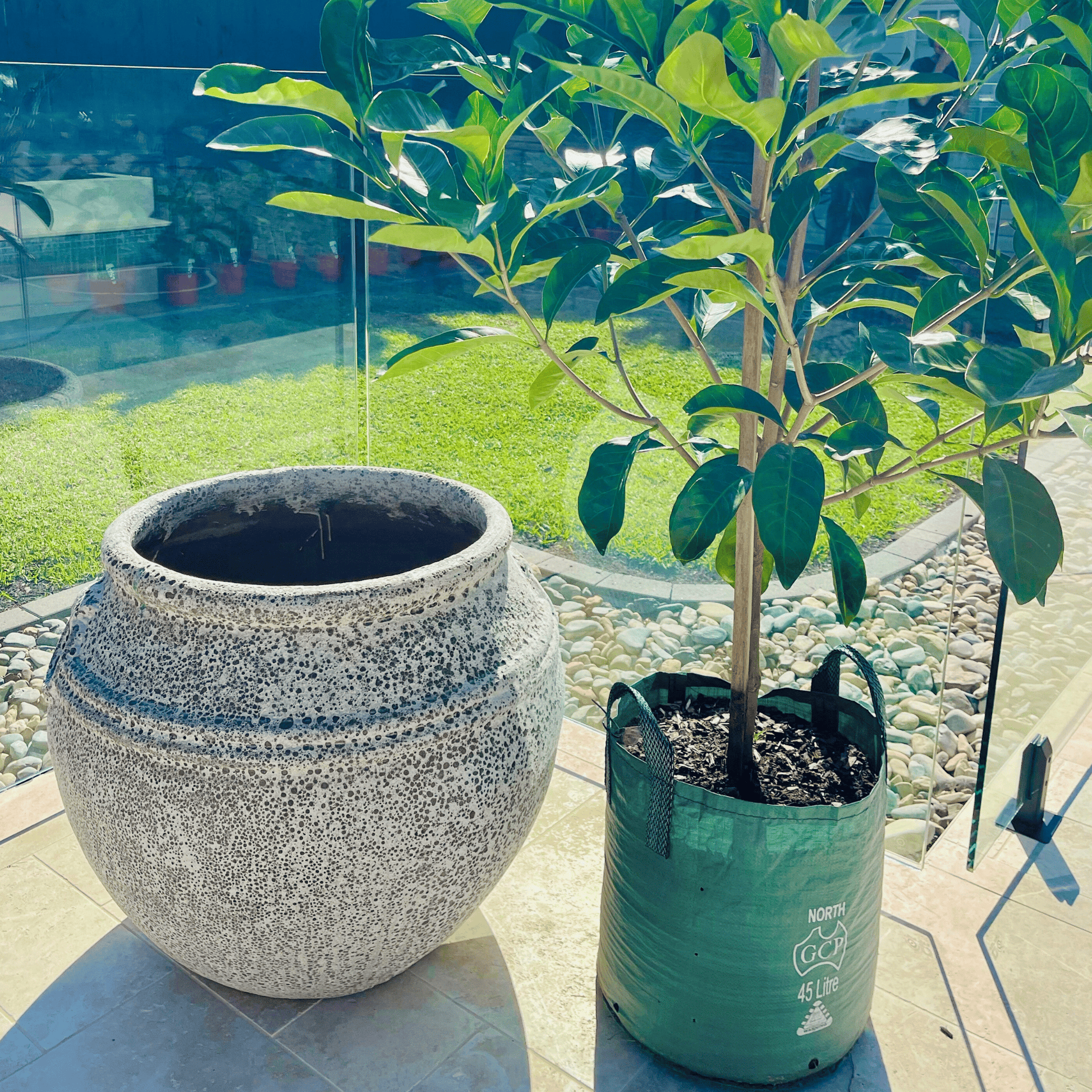 Ancient Ponticus Garden Pot Urn - Kingdom Horticulture
