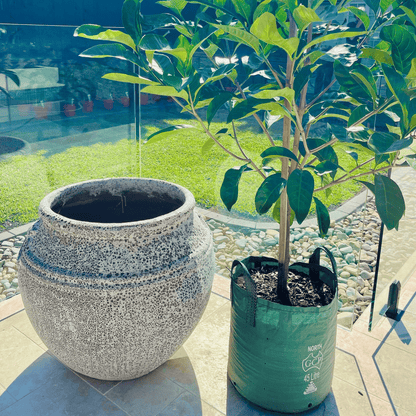 Ancient Ponticus Garden Pot Urn - Kingdom Horticulture
