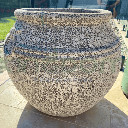 Ancient Ponticus Garden Pot Urn - Kingdom Horticulture Kingdom Horticulture