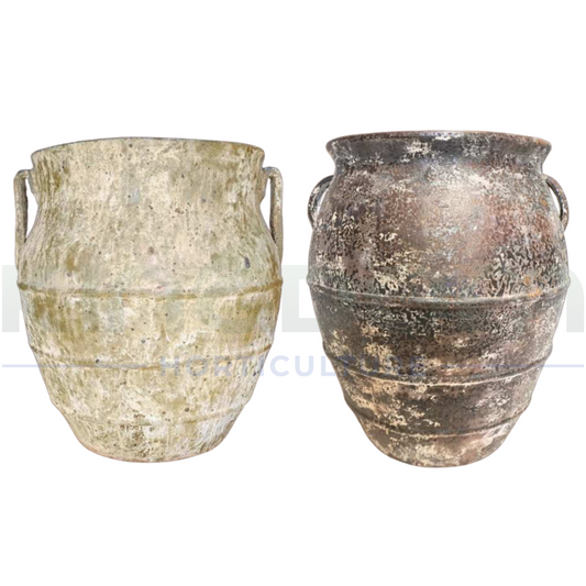 Ancient Philo Urn Pot | 2 Colours & Styles Kingdom Horticulture