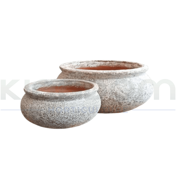 Ancient Shallow Bowl Pot | 2 Sizes - Kingdom Horticulture