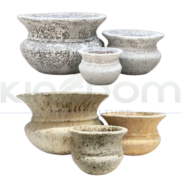 Ancient Lucinda Pot | Two Colours | 3 Sizes - Kingdom Horticulture