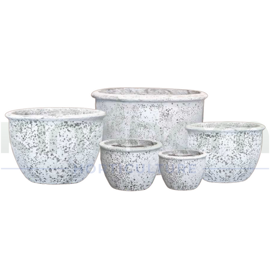 Ancient Cana Pot | 5 Sizes Kingdom Horticulture