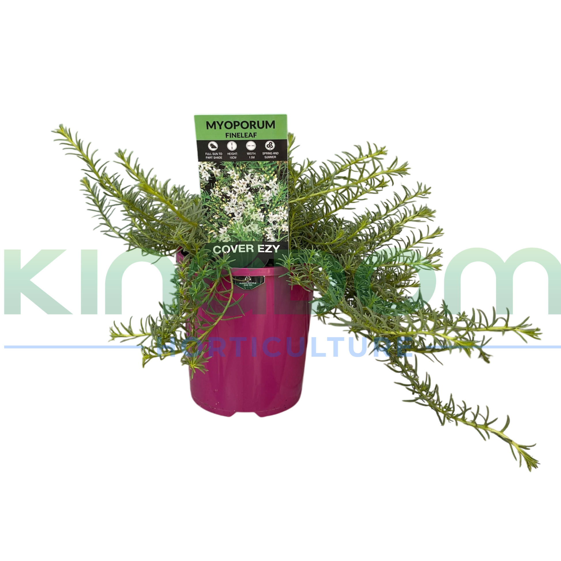 Kingdom Horticulture