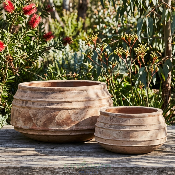 Outback Terracotta Belly Bowl Garden Pots
