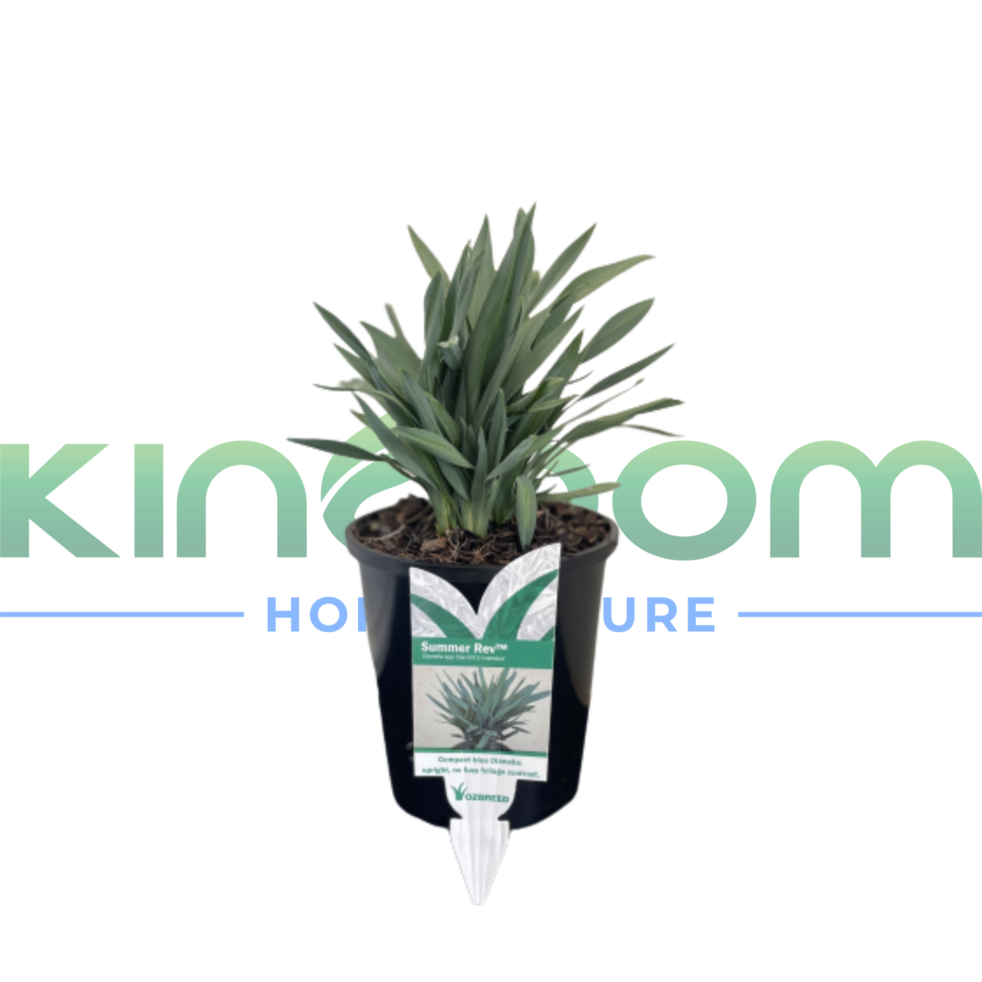 Kingdom Horticulture