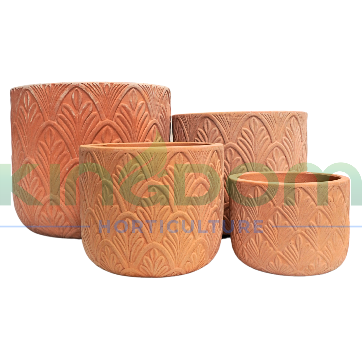 Terracotta Paloma Oval | 4 Sizes Kingdom Horticulture